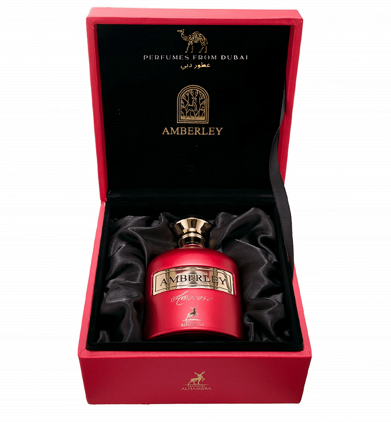 Amberley Amoroso