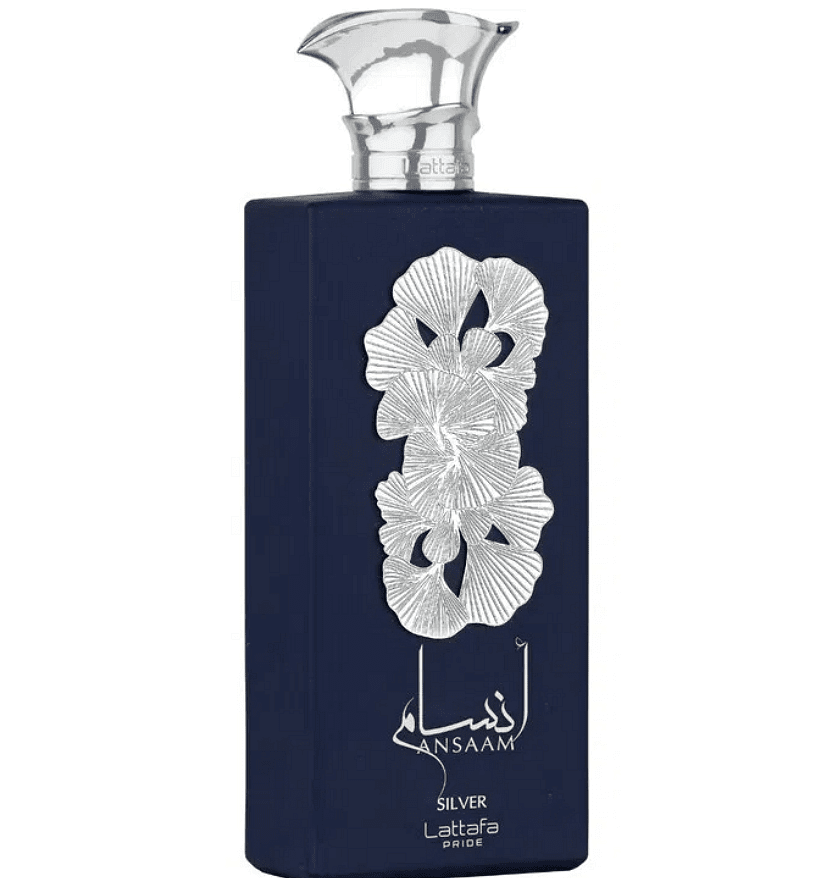 Ansaam Silver